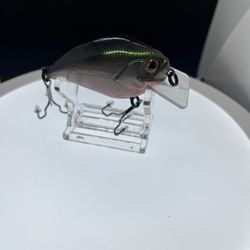 The Bully Crankbait 