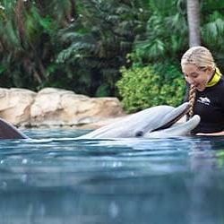 Discovery Cove Package
