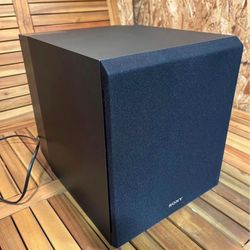 Sony SACS9 10-Inch Active Subwoofer,Black