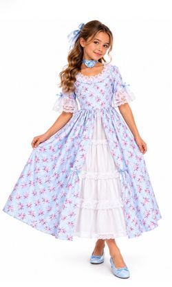 New Forum Novelties American Floral Colonial Halloween Costume Dress Size: Large