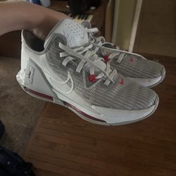Men’s Lebron Size 11