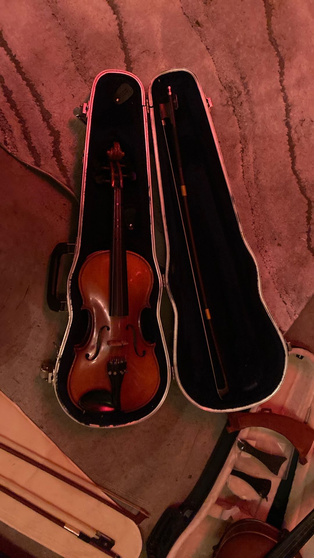 Hauer Young Fiddle