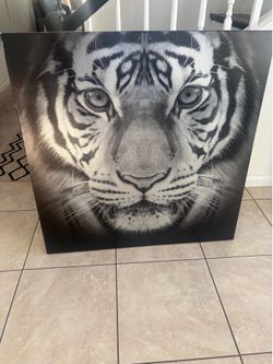 Large frame lion picture 40/40