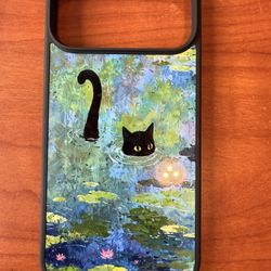 iPhone 17 Pro Max Case