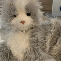 Companion Pet Cat Toy