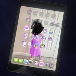 iPad Mini 