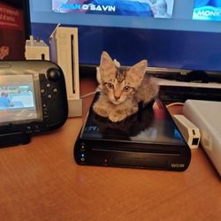 32g Wii U And Whiskers(Local Only)
