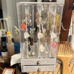 Earring Organizer