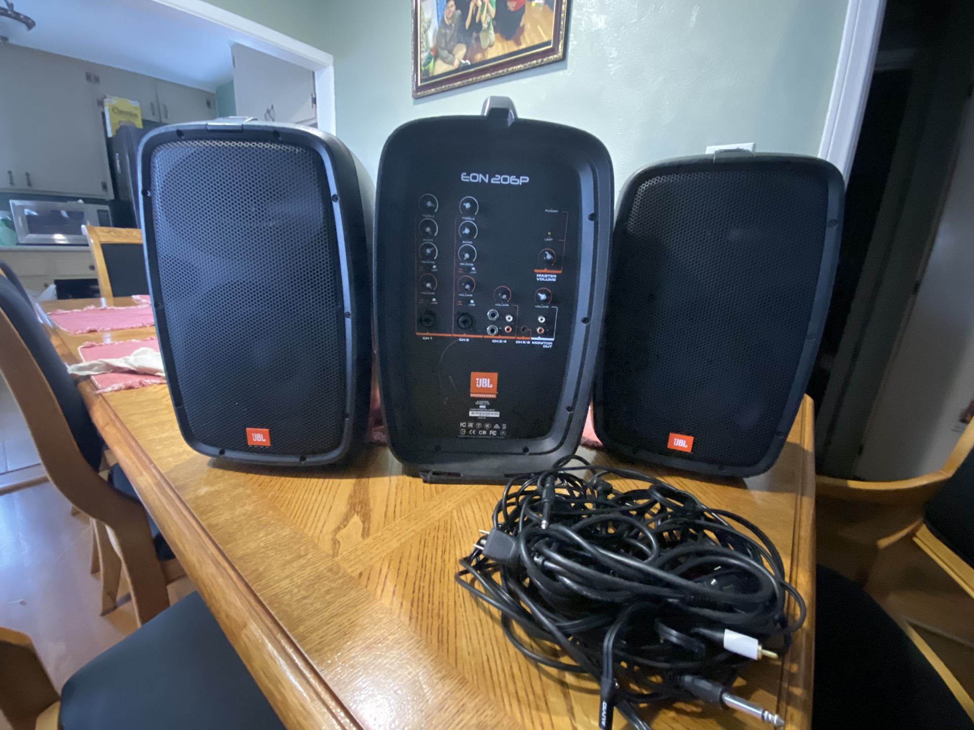 JBL 206P Portable PA System