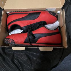 Brand New Pumas 
