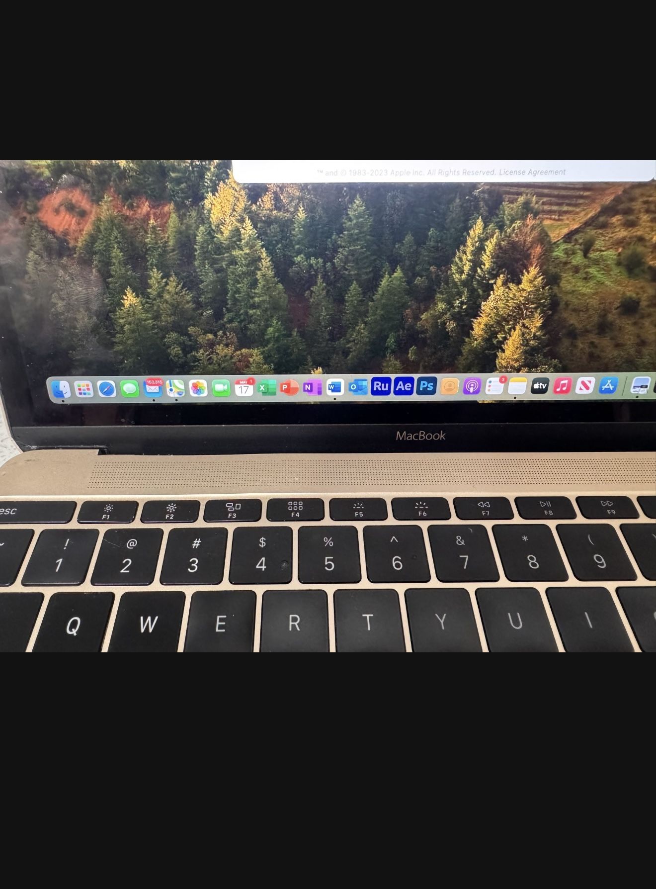 Mac book air Rosegold early 2017