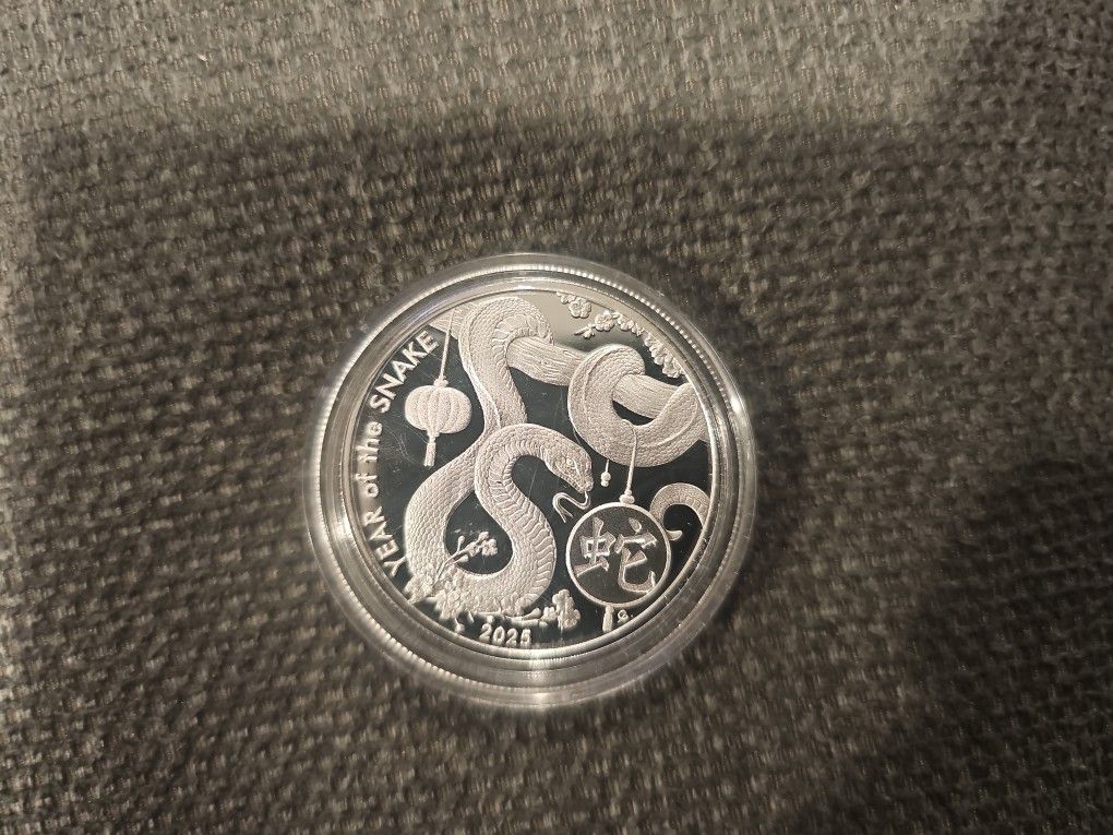 .999 Fine Silver  1 Troy Oz. Silver