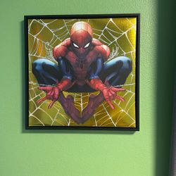 Spider-Man World Picture