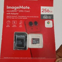 256 Gb SD Card
