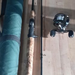 Lamiglass Fishing Rod 