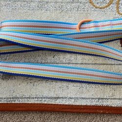 Rainbow Dog Leash 