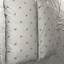 Two Calvin Klein King Pillows Brand New