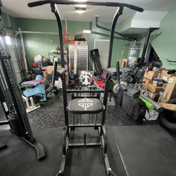 Assisted Pull-Up/dip Machine