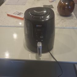 Ninja Fryer