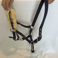 Horse Tack Walsh