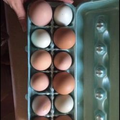 Farm Fresh Eggs