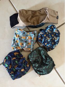 Dog boy diapers