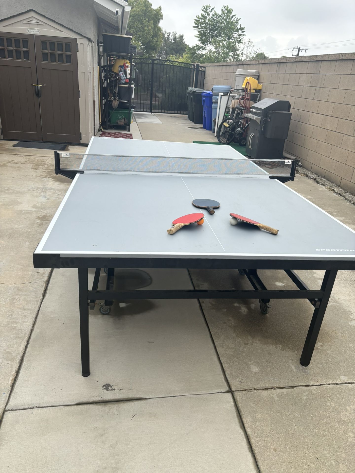 Ping Pong Table