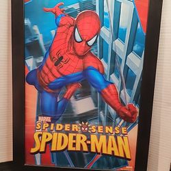 2012 Marvel/Spider Man "Spider Sense" 3D Framed Picture 18.5 × 12.5
