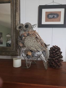 15inOwl
