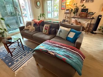 Sectional couch w/ chaise