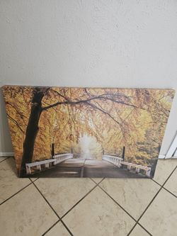 Art frame