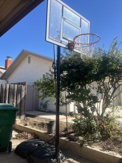 Basketball Hoop
