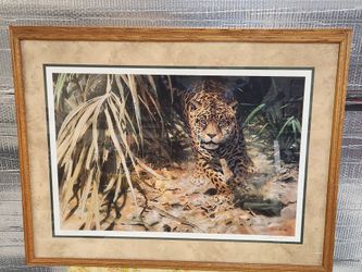 Into The Clearing Jaguar By John Seerey Lester