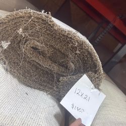 Carpet Roll 12x21 $170 Per Roll