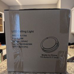 New In Box Light Fixture 