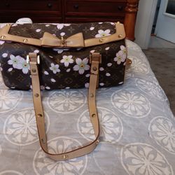 Louis Vitton Purse