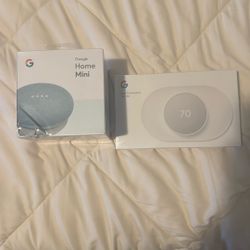 Google Home And Nest Thermostat 