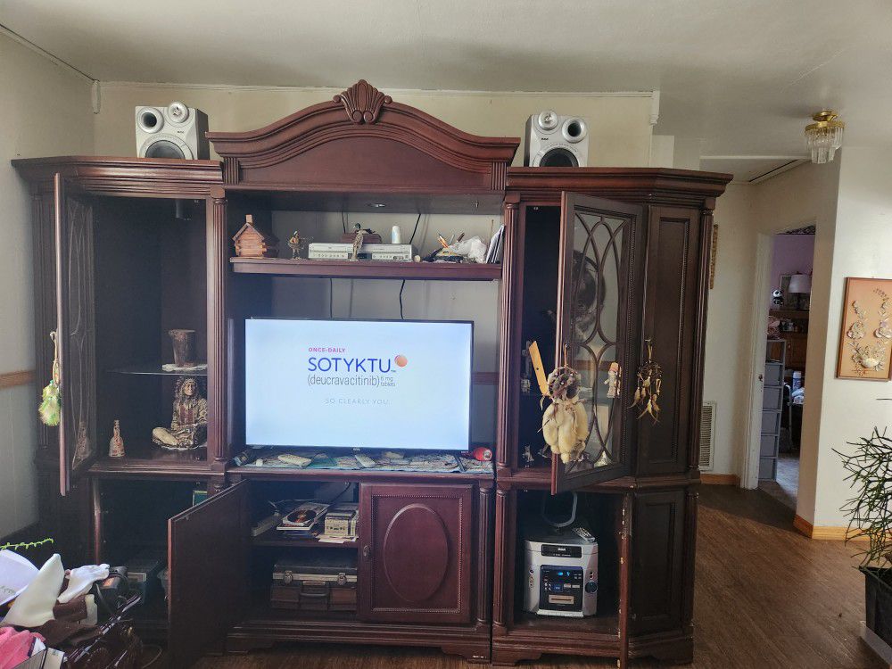 Entertainment Center Only 
