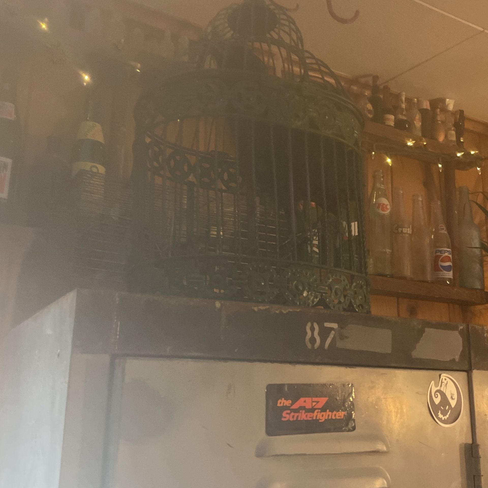 Crow In Cage