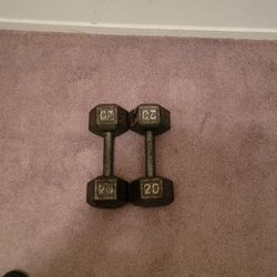 Set Of 20 LB Dumbbells 