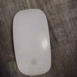 Apple Magic Mouse. 