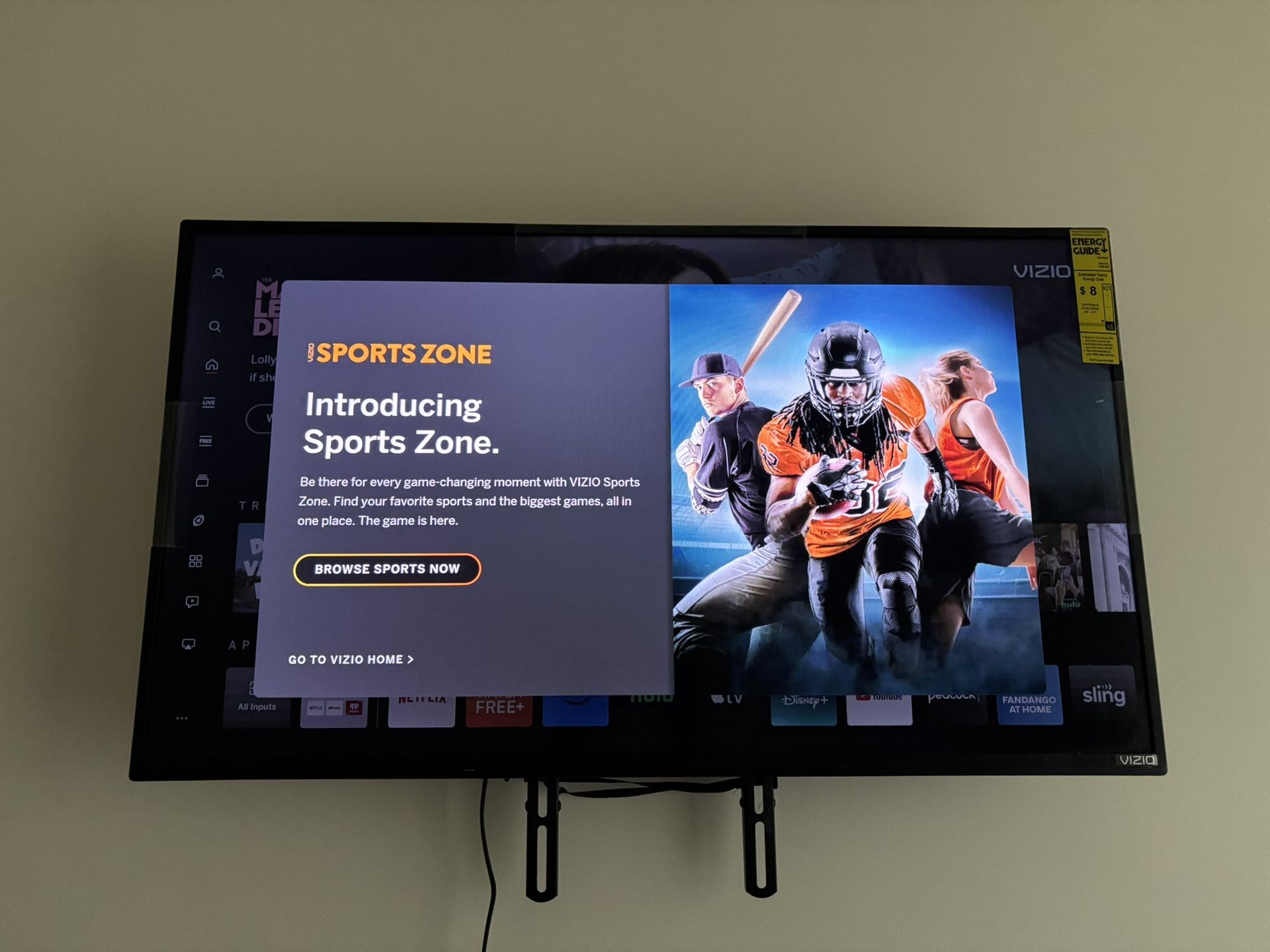 40 in Vizio Flat Screen.