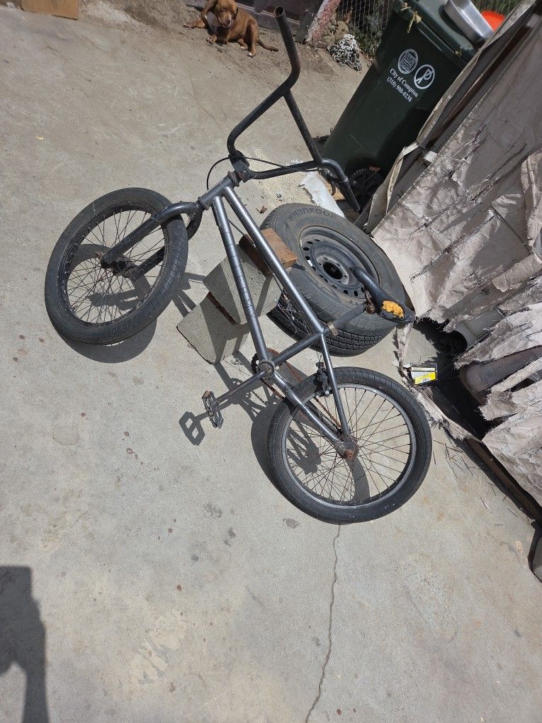 Elite BMX Bike