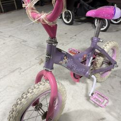 Girls Princess Bike