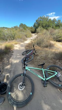 Nishiki mountain bike