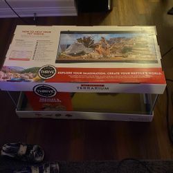 All reptiles terrarium