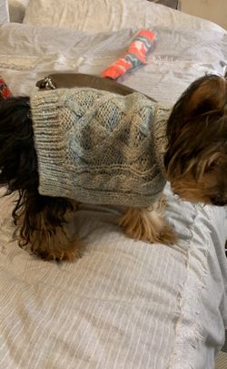 Small dog sweater