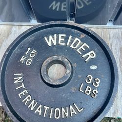Weight Plate 33 Lbs 