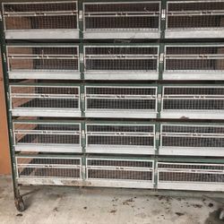 Battery Brooder Cage