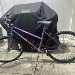 Free Bike
